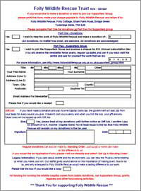 Downlaodable Donation Form In PDF Format